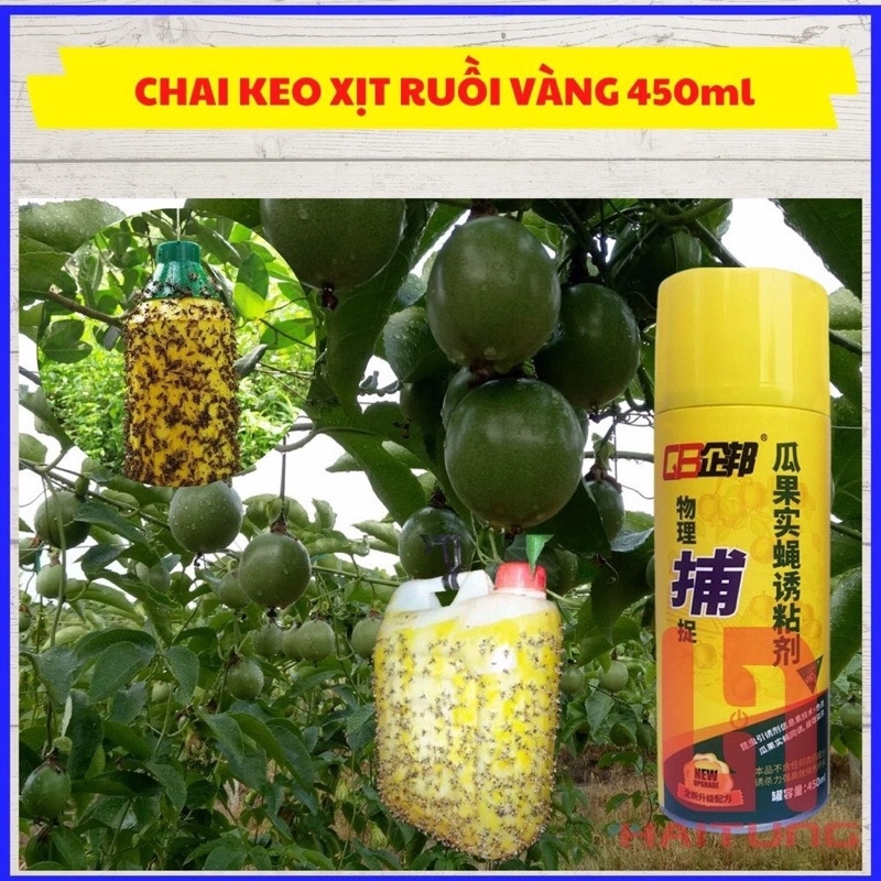 Chai keo xịt bẫy ruồi vàng 450 ml,an toàn với con người  198930