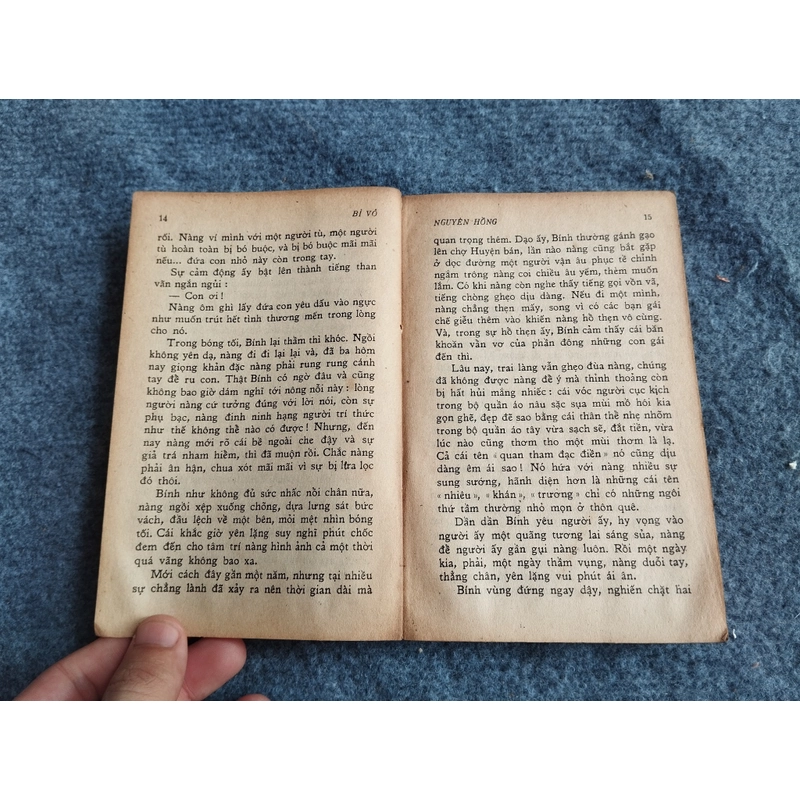 BỈ VỎ - NGUYÊN HỒNG 478547