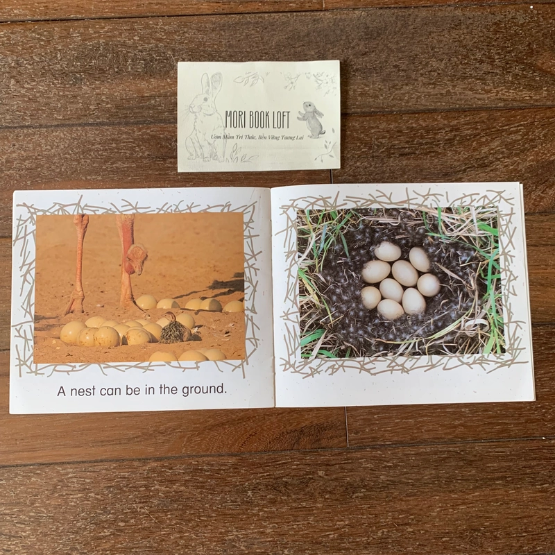 Combo 3c tập đọc Science Emergent Readers: Coral Reef; Desert; Nests, Nests, Nests, Used 477815