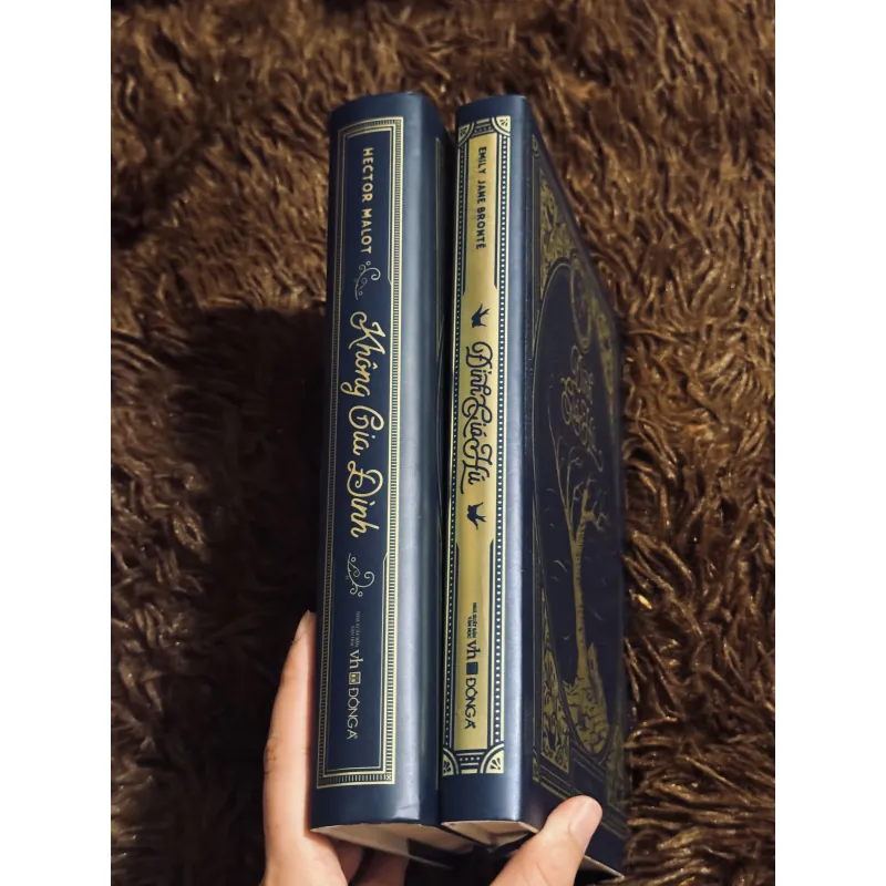 Combo không gia đình + đỉnh gió hú (bìa cứng) 998283