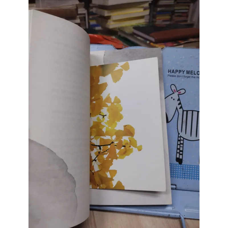 Sách: Sông - TG: Nguyễn Bảo Trung (B1) 781857