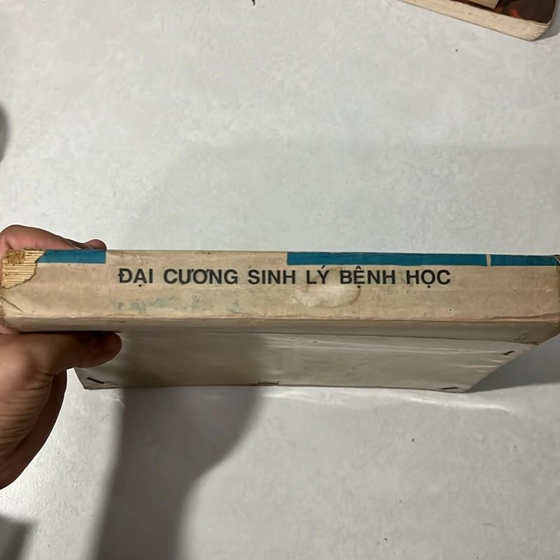 Đại cương Sinh lý bệnh học - Vũ Triệu An - 1978s 509457