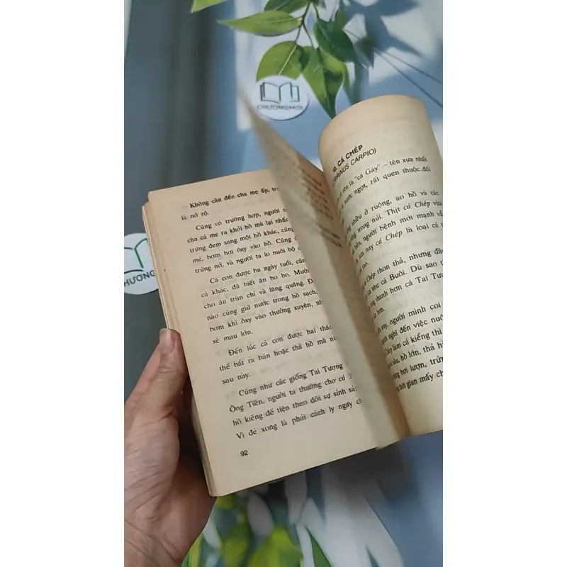 [XƯA] Thú Chơi Cá Kiểng Xưa Và Nay (1996) - Việt Chương 775981