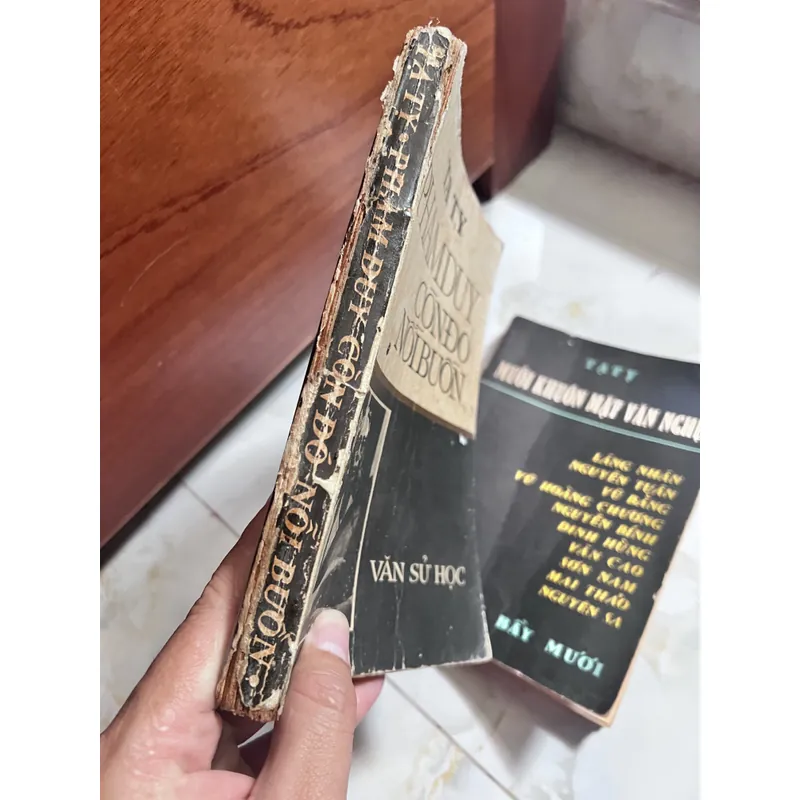 Phạm Duy còn đó nỗi buồn - Tạ Tỵ 737740