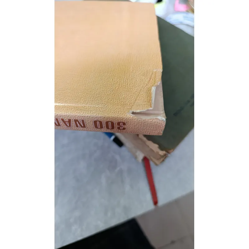 300 NĂM SÀI GÒN - THÀNH PHỐ HỒ CHÍ MINH 749493