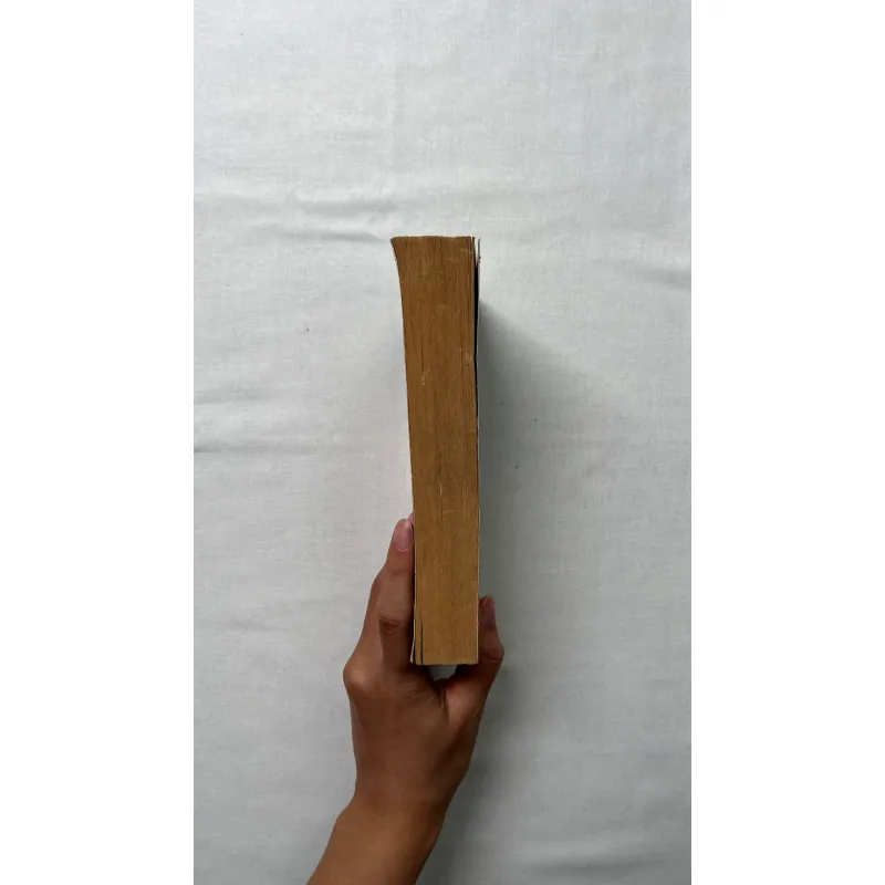 Falling Angels - Tracy Chevalier  786818