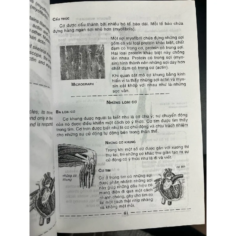 1001 chi tiết về cơ thể con người - Anatomy 695821