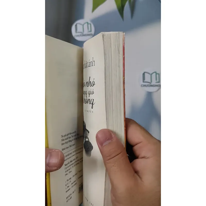 Con Chó Nhỏ Mang Giỏ Hoa Hồng - Nguyễn Nhật Ánh 798348