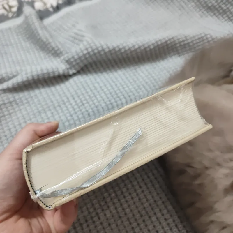 Hai số phận bìa cứng 736292