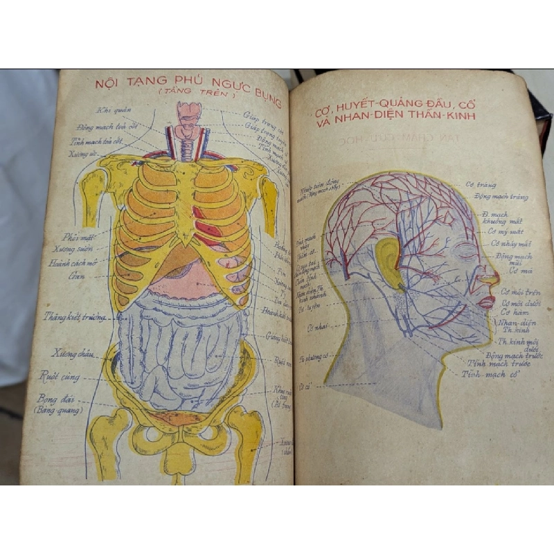 Cẩm nang châm cứu - Thượng Trúc 137681