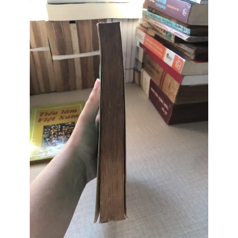 Làm gì cho nông thôn Việt Nam-Phạm Đỗ Chí và cộng sự 961399