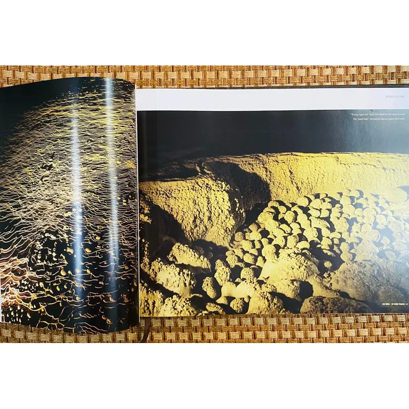 Sơn Đoòng tranh 591000