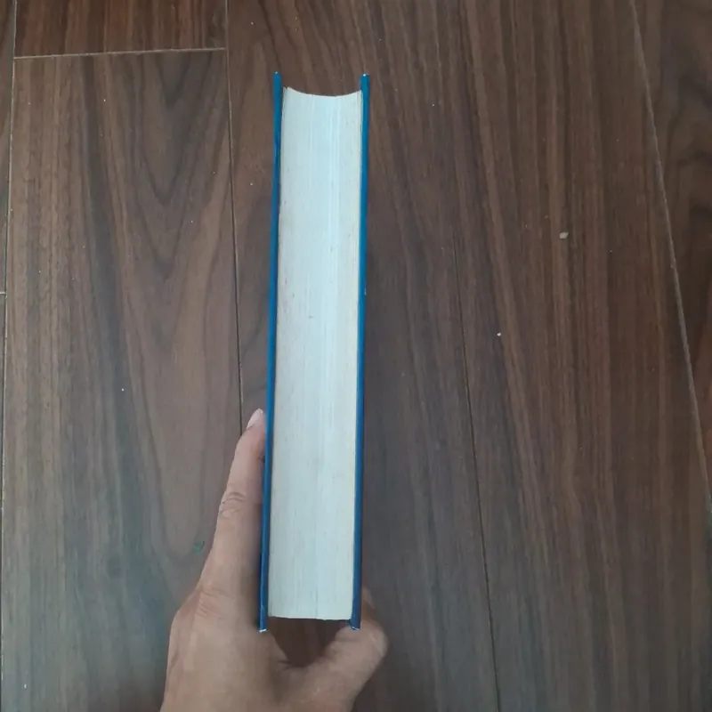 Những chính khách nổi tiếng 593059