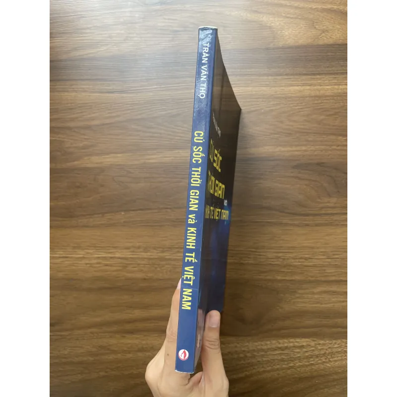 Cú sốc thời gian và Kinh tế Việt Nam - Trần Văn Thọ 934721