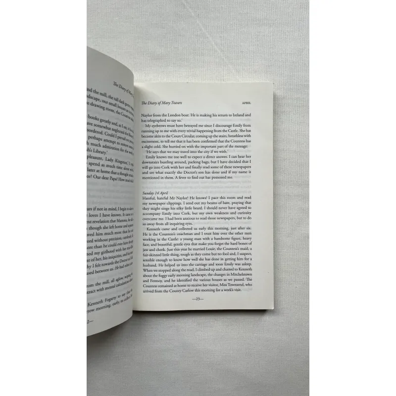 The Diary of Mary Travers - Eibhear Walshe   784972