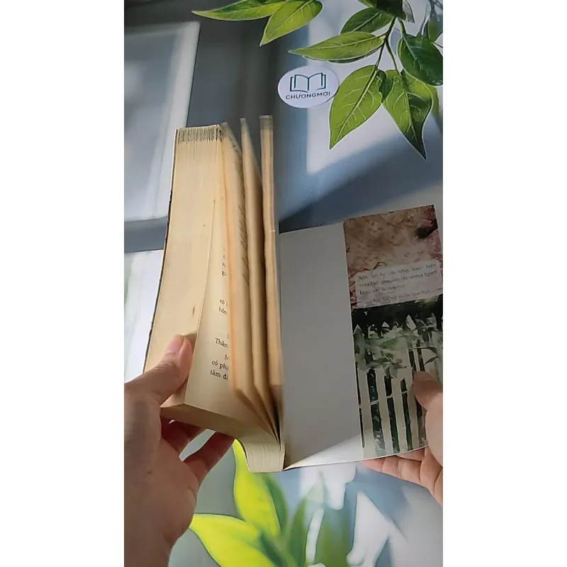 Bên Nhau Trọn Đời - Cố Mạn 607716