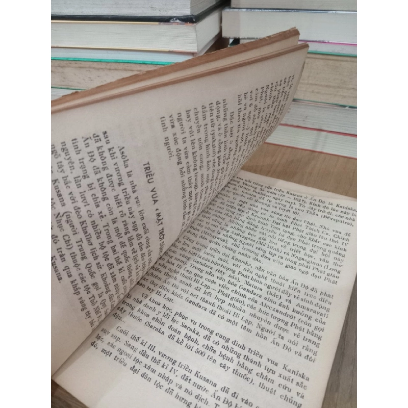 Ấn Độ qua các thời đại - Nguyễn Thừa Hỷ 525612