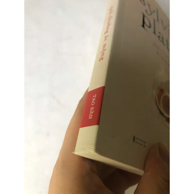 Sách đã qua sử dụng Quả Chuông Ác Mộng - Sylvia Plath 1022857