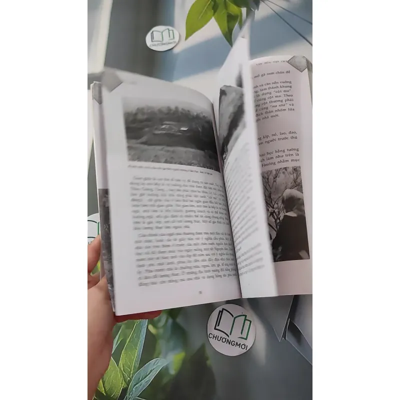 Người H'mông - Chu Thái Sơn & Trần Thị Thu Thủy 1018826