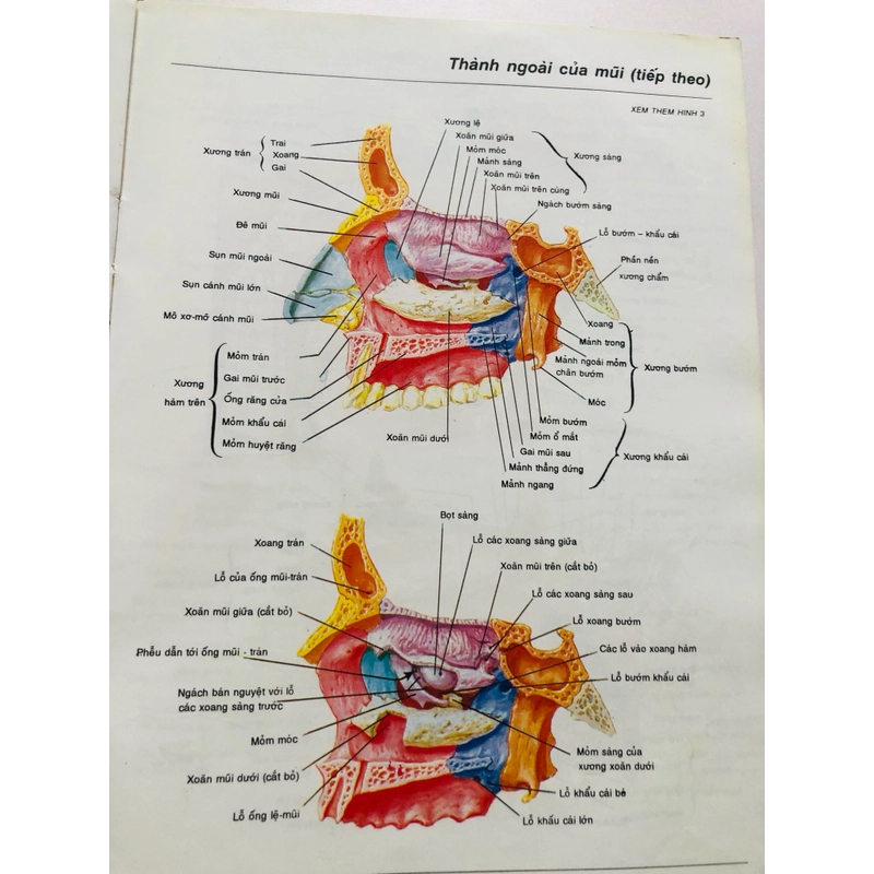 2. ATLAS GIẢI PHẪU NGƯỜI  470949