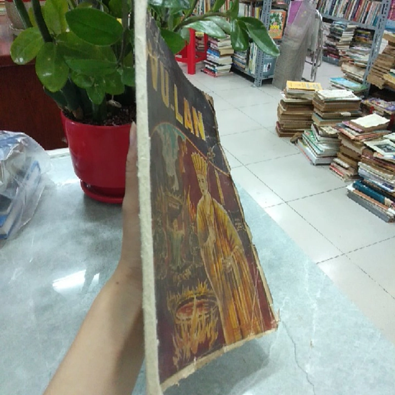 ĐẶC SAN VU LAN  272524