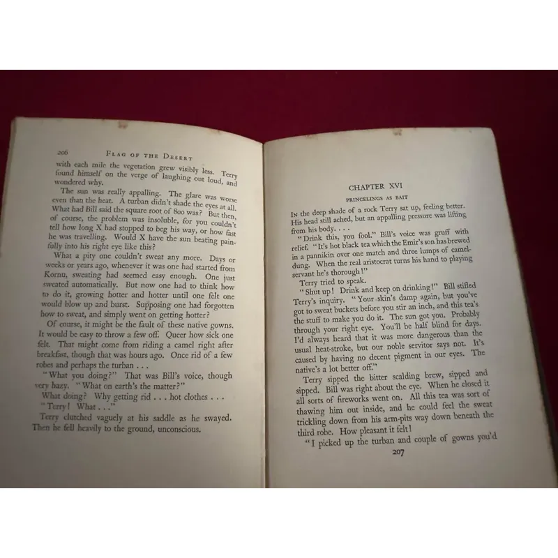 Sách ngoại văn tiếng Anh - Flag of the desert 713370