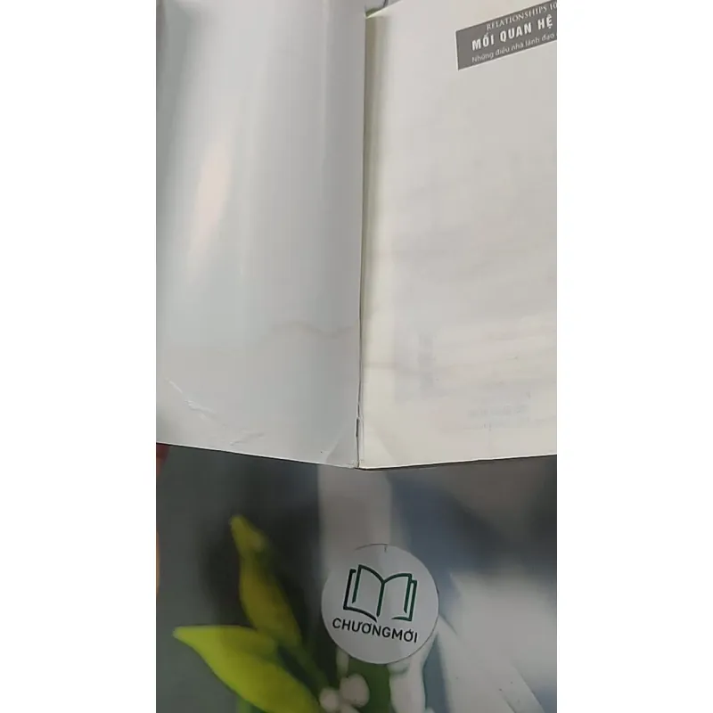 Mối quan hệ 101: Những điều nhà lãnh đạo cần biết - John C. Maxwell 688525