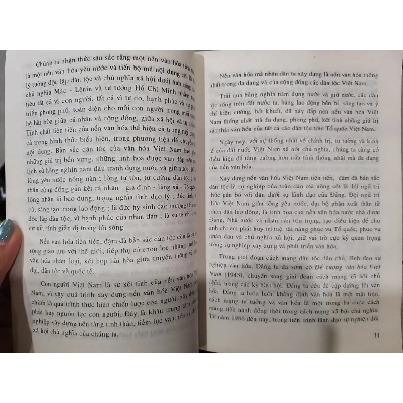 Những vấn đề văn hóa Việt Nam hiện đại 707034