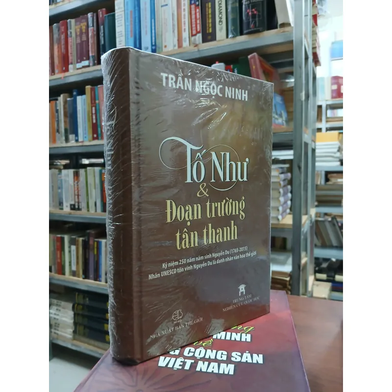 TỐ NHƯ & ĐOẠN TRƯỜNG TÂN THANH - TRẦN NGỌC NINH 731158