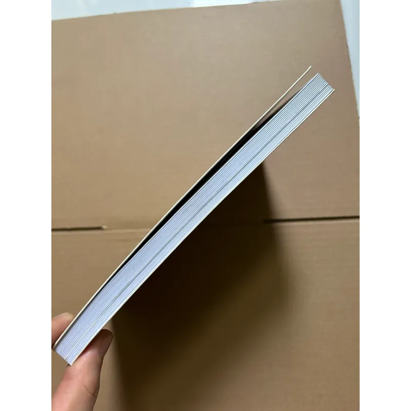 Quá trẻ để chết, hành trình nước Mỹ - Đinh Hằng 733651