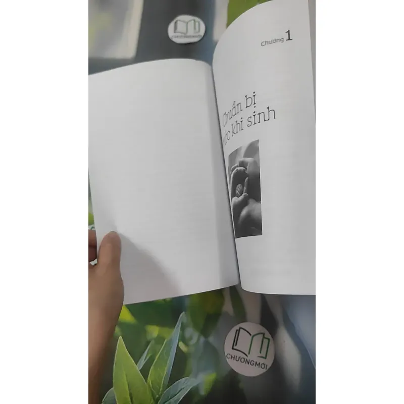 Dinh Dưỡng Cho Trẻ - Các Thực Đơn Và Thắc Mắc Thường Gặp - BS. Nguyễn Thị Hoa 1018933