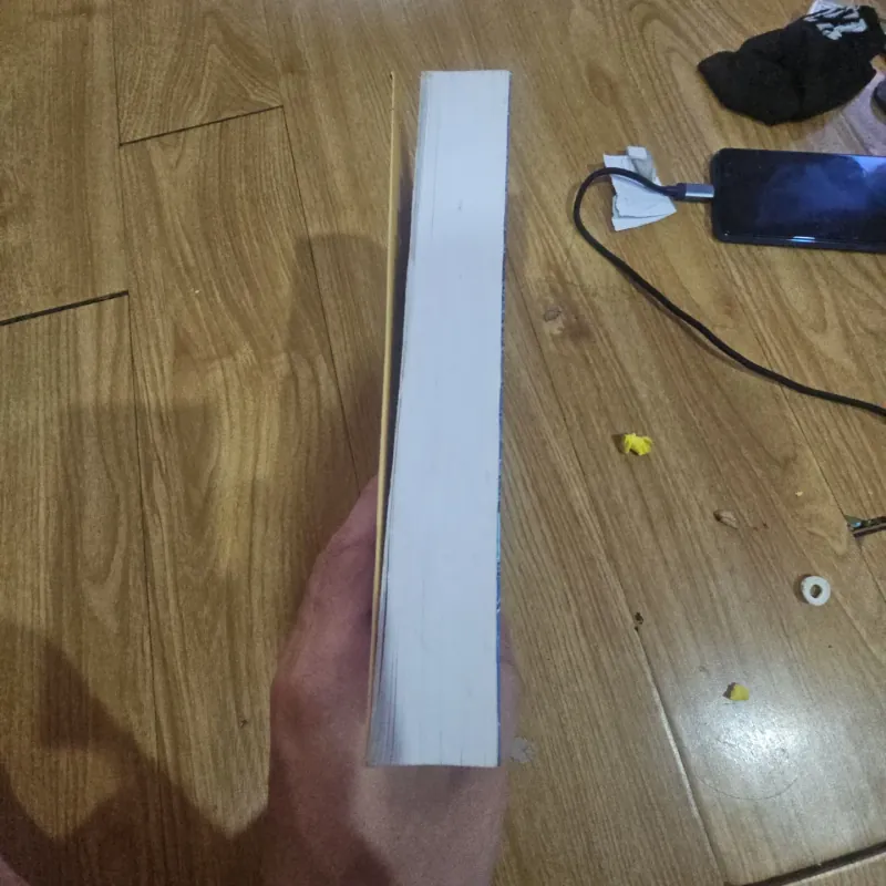 Trước khi chiếc lá bàng cuối cùng lìa cành (song ngữ Anh - Việt)
 763769