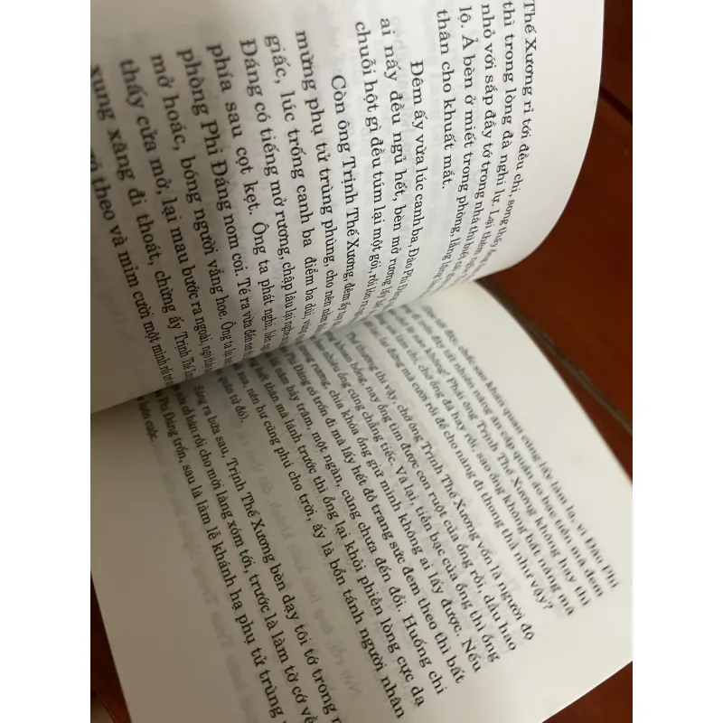 Nghĩa hiệp kỳ duyên Nguyễn Chánh Sắt 1005241