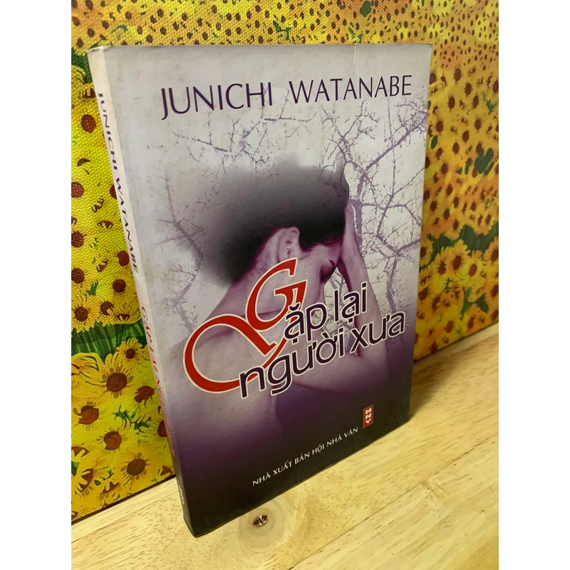 Gặp Lại Người Tình Năm Xưa - Junichi Watanabe 541994