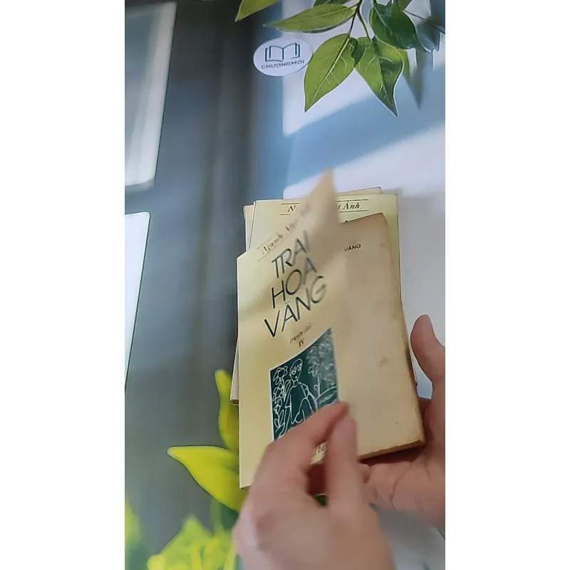 Trọn bộ Trại hoa vàng (4 tập) 607740