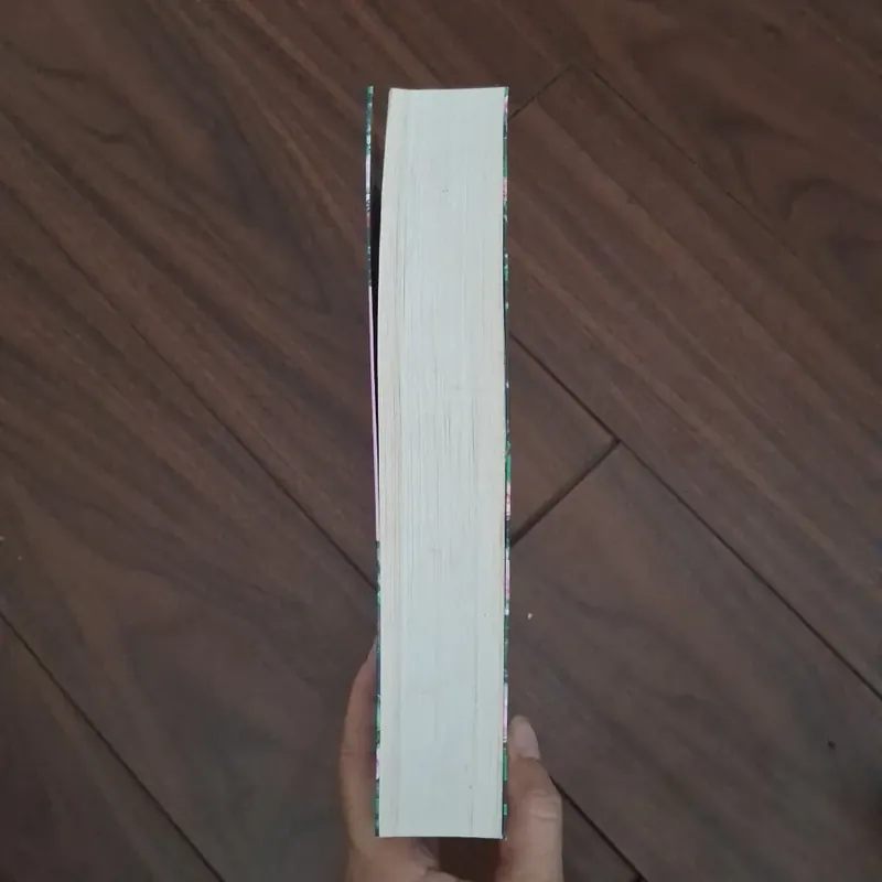 Hoa hồng sớm mai - lâm địch nhi 706303