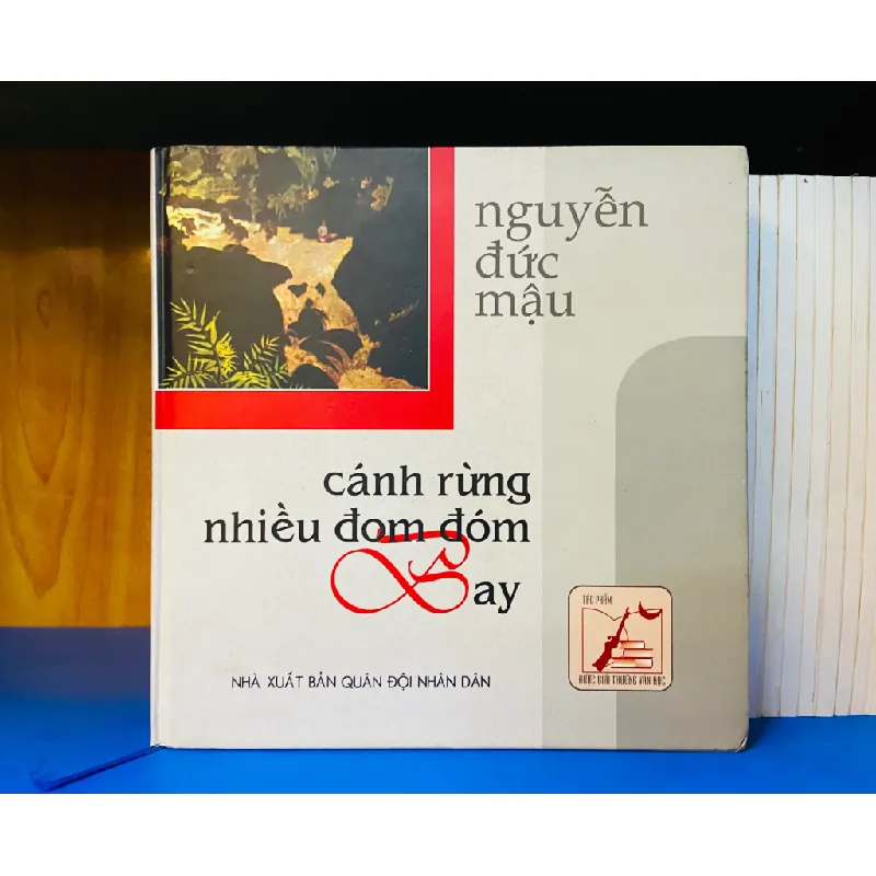 Cánh rừng nhiều đom đóm Bay 553980