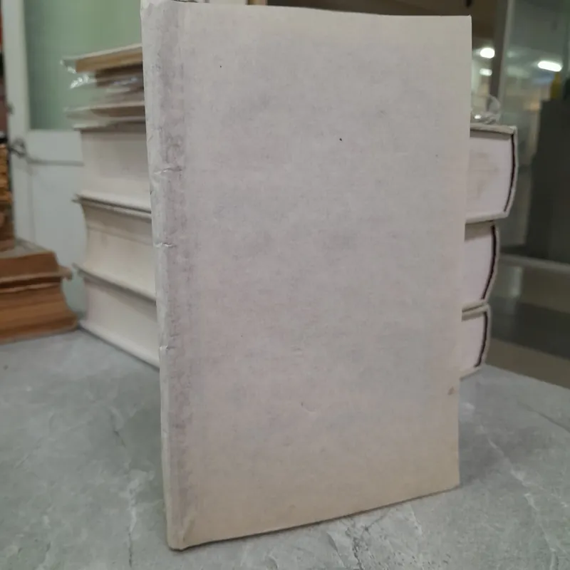 NHÂN CÁCH PHỤ NỮ VIỆT NAM HIỆN ĐẠI - NGUYỄN LƯƠNG BÍCH 729220