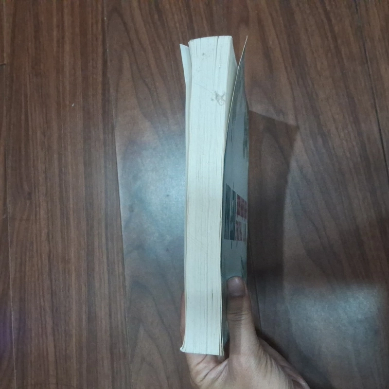 Cây thuốc Việt Nam chữa bệnh người Việt Nam 545600