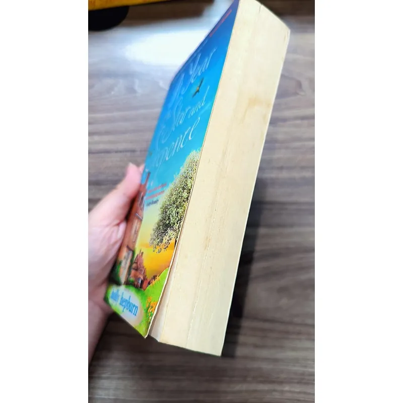 A Year at the Star and Sixpence -
Holly Hepburn (preloved book) 722919