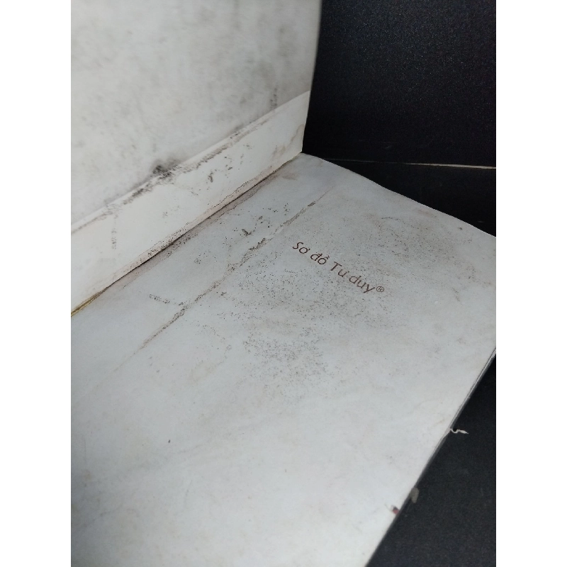 Sơ đồ tư duy mới 60% ố ẩm rách trang 2009 HCM1001 Tony & Barry Buzan KỸ NĂNG 918976