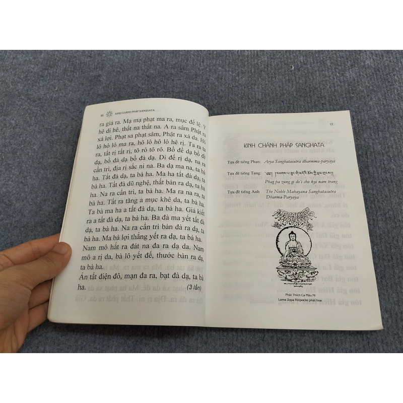KINH CHÁNH PHÁP SANGHATA 494734
