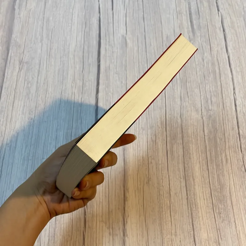 BÍ ẨN SUN DOWN - SIMONE ST.JAMES 931280