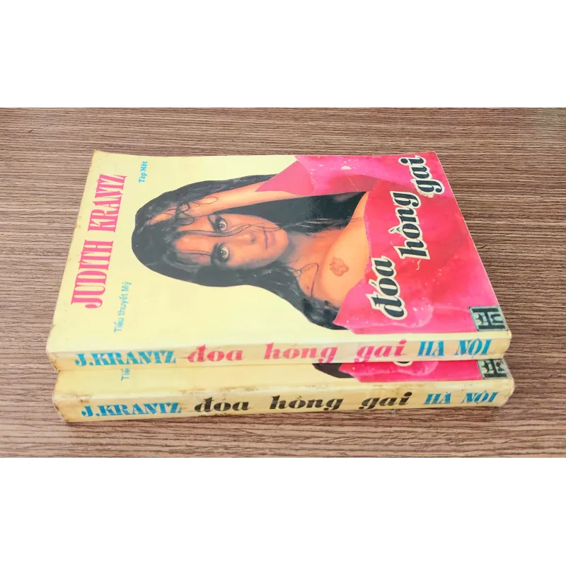 Tiểu thuyết ĐÓA HỒNG GAI - Judith Krantz (trọn bộ 2 tập 687 trang) 782876