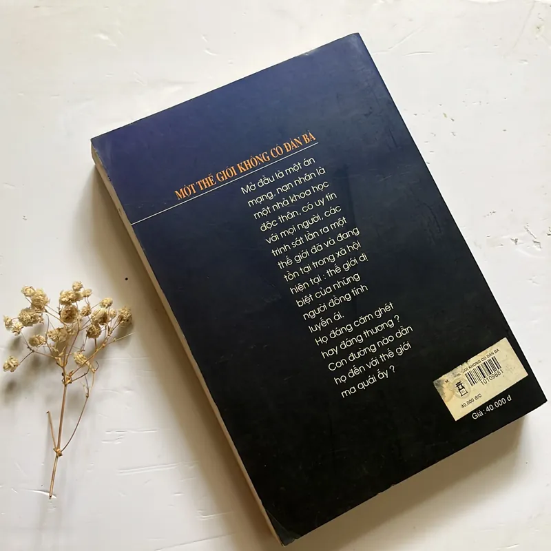 Bán sách cũ – Một Thế giới không có đàn bà – Bùi Anh Tấn 564638