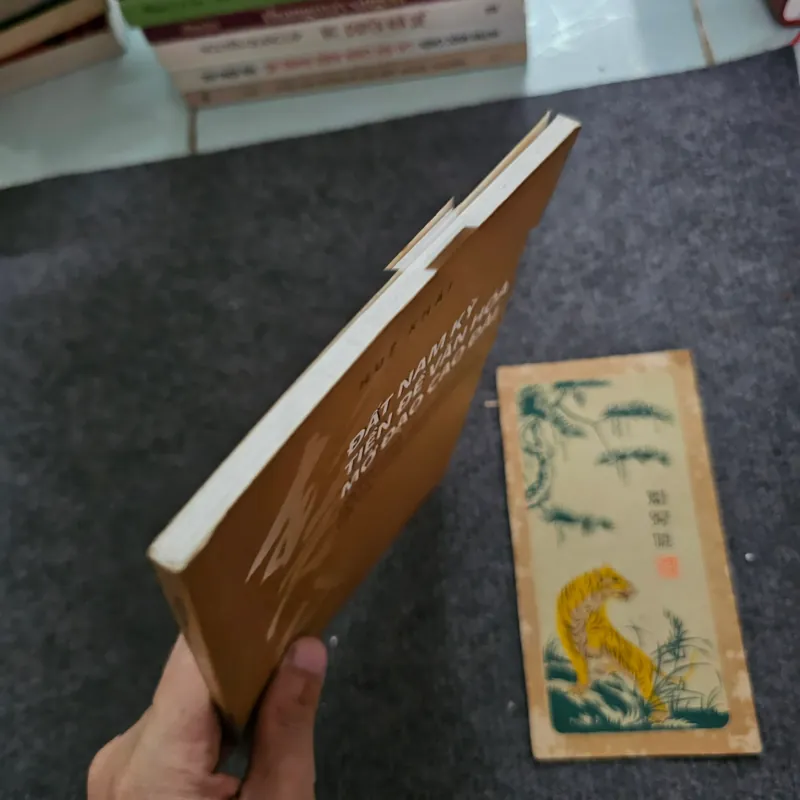 Đất nam kỳ tiền đề văn hóa mở đạo cao đài 751586