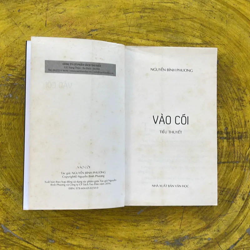 VÀO CÕI - NGUYỄN BÌNH PHƯƠNG 1002510