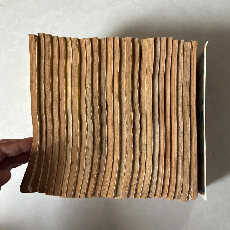 Bác sĩ Kazu trọn bộ 25 tập (Co) 730998