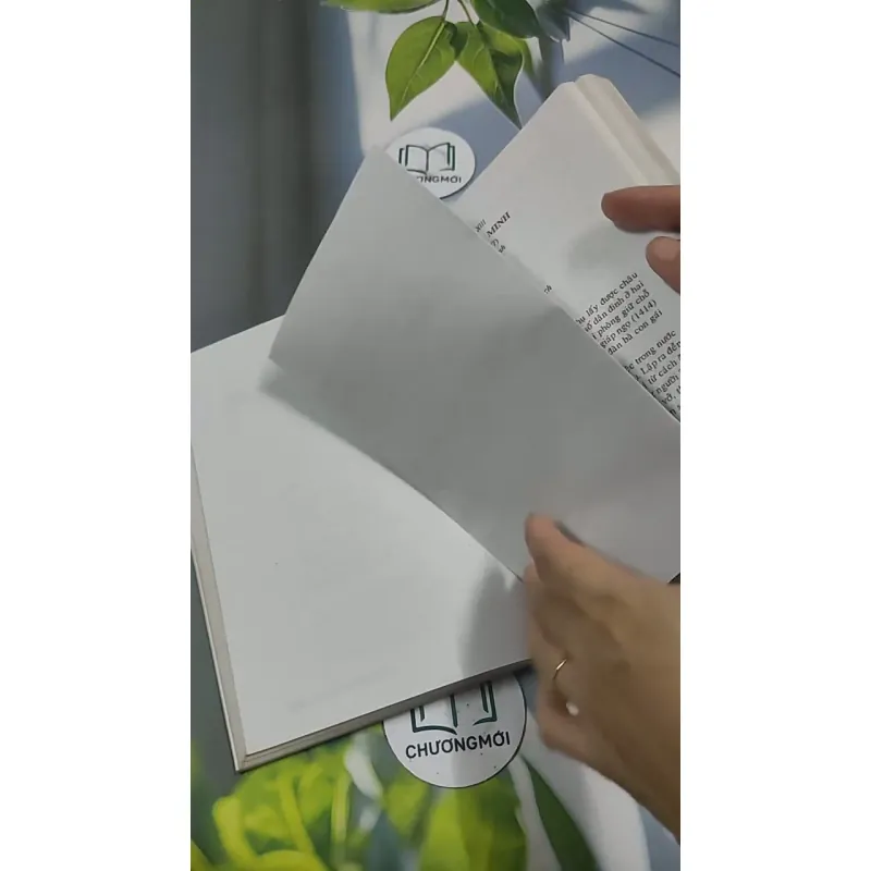 Việt Nam Sử Lược 715609