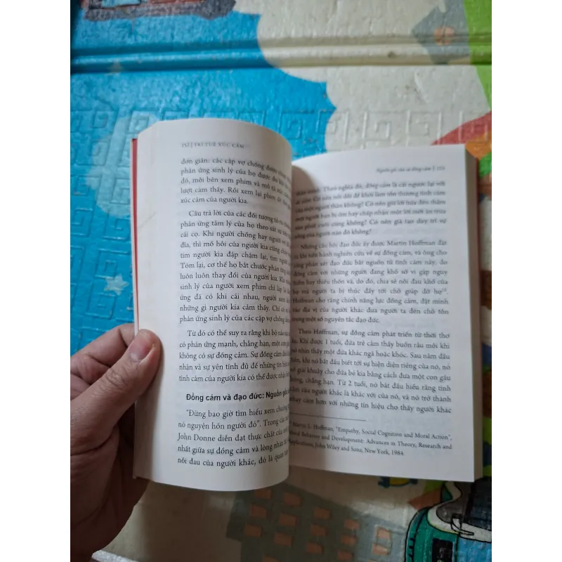 Trí Tuệ Xúc Cảm 936243